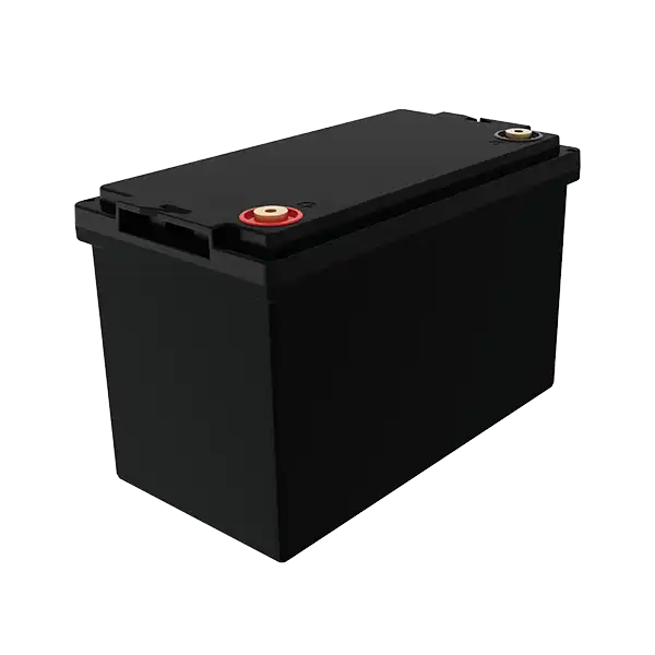 12V-100~314Ah-3